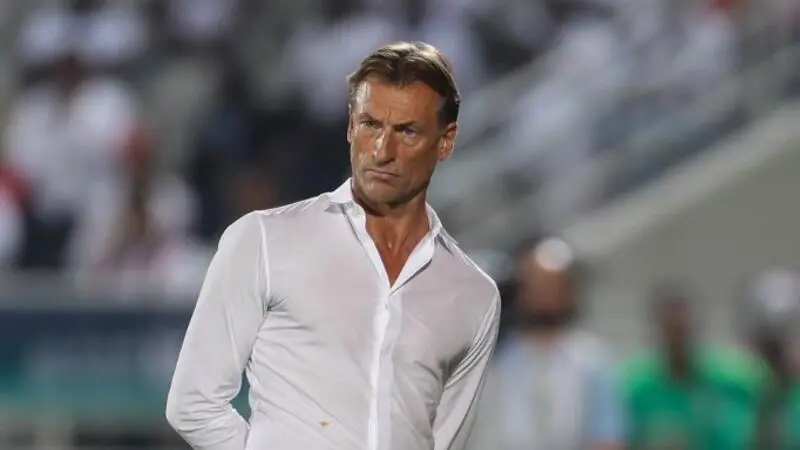 herve renard