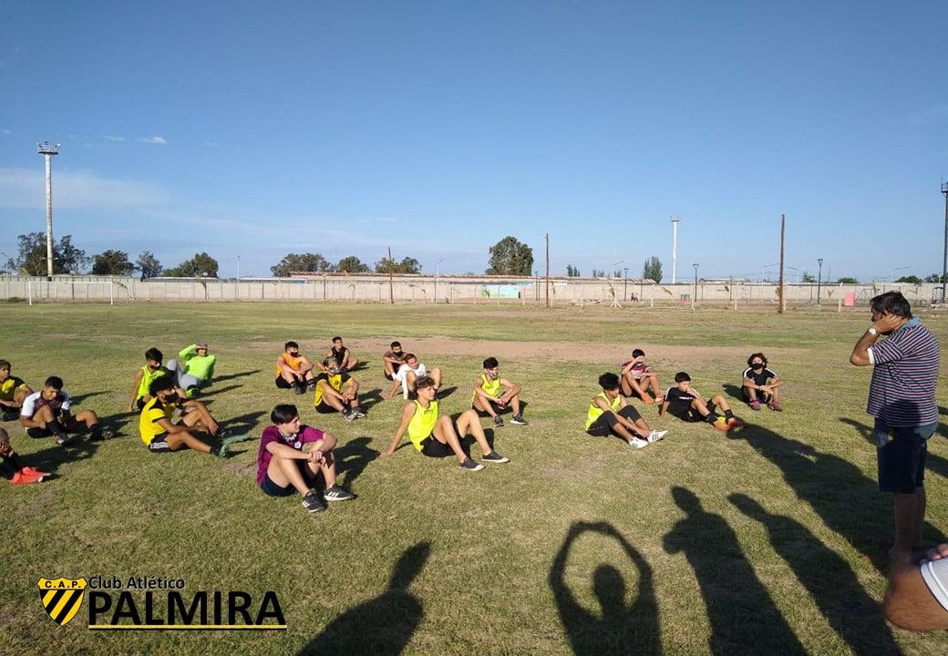 palmira