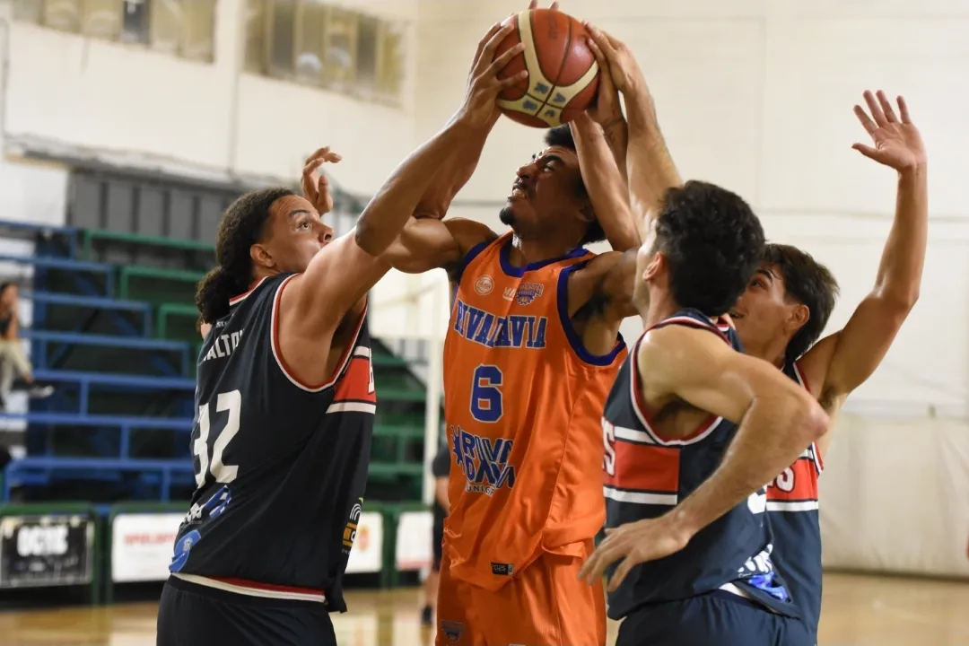 Screenshot_20260201_132622_Gallery